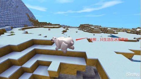 迷你世界企鹅能做什么