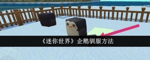 迷你世界企鹅能做什么[图1]