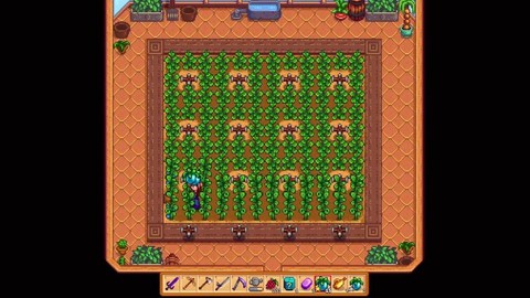 星露谷物语树苗怎么种