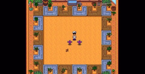 星露谷物语树苗怎么种[图2]