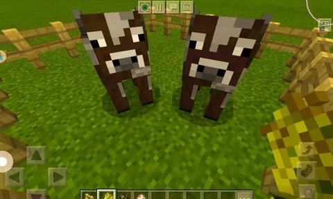 我的世界怎么喂动物